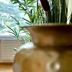 Terrasse 公寓 蒙特勒